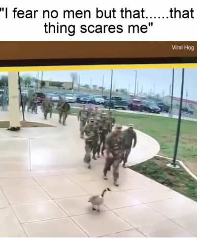 Peace was never an option