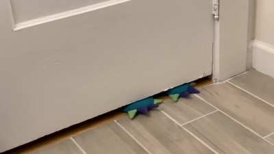 Got my husband monster slippers for Christmas, this is how he says hi when I’m pooping ???