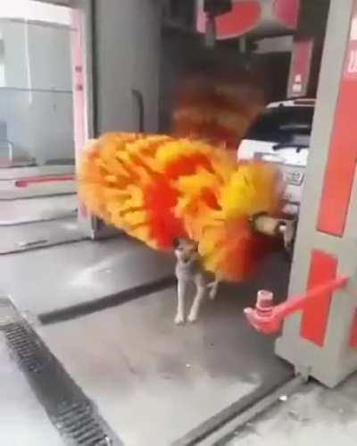 ??