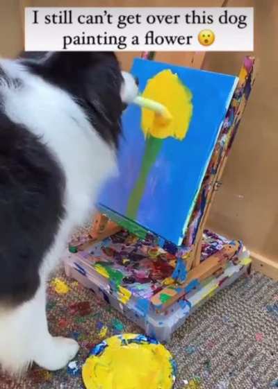 doggo painting a sunflower!