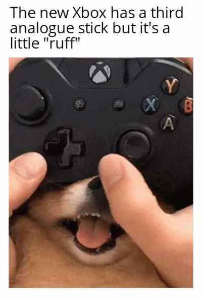 And it's cute.