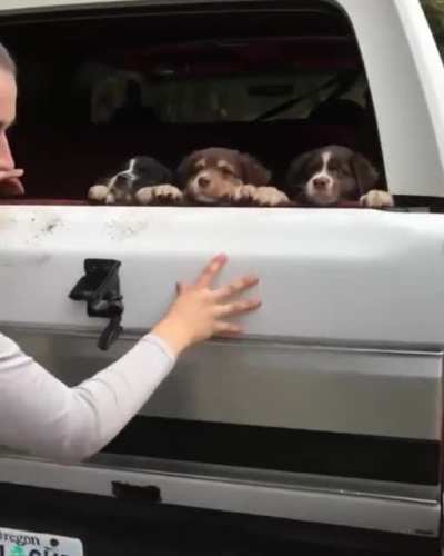 When people ask me why I need a truck?