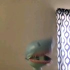 Who?