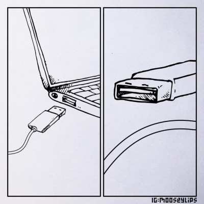 White Lotusb