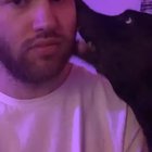 Flea in your cheek