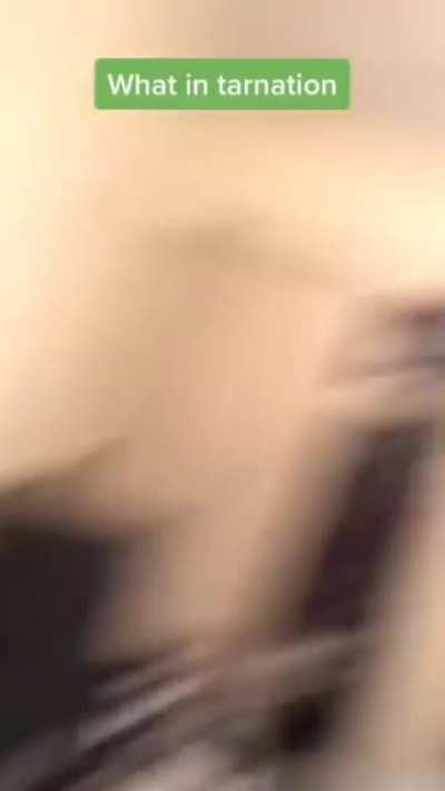 "This is fucked up"