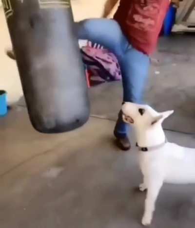 I'm Tough.