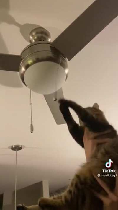 Pip and the ceiling