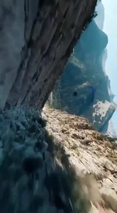 No