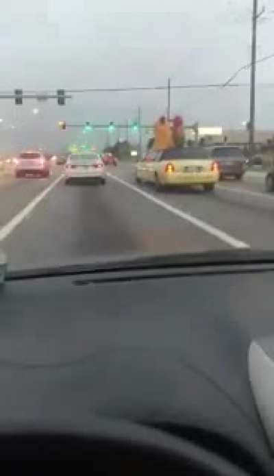 The shit you see in Florida. I was also super sick when I filmed this, and this caught me off guard.