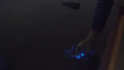 The waters of Vaadhoo Island, Maldives, are home to bioluminescent phytoplankton which glow when agitated.