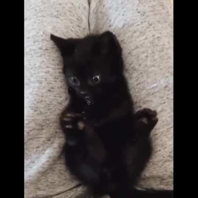 Wait, I have legs?!