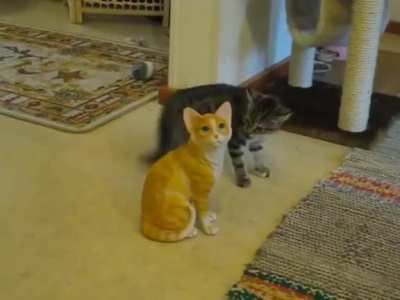 Don't look at him. DO NOT look at him.