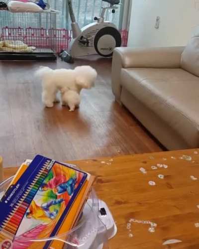 To get on the couch with his dad