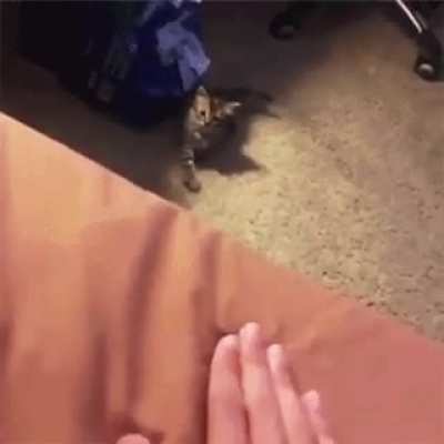 You come here...