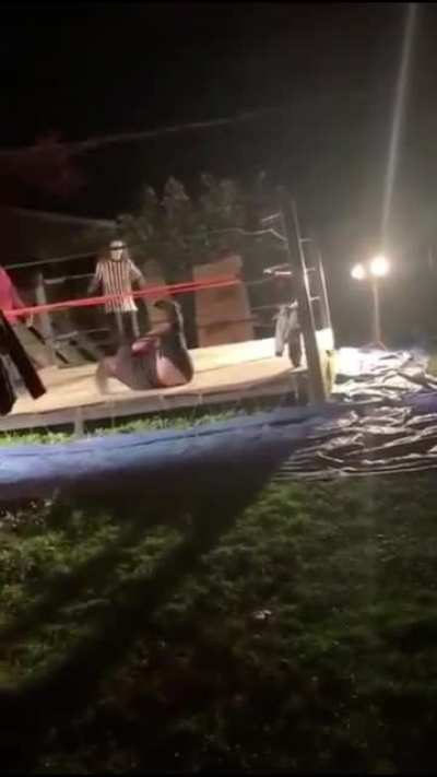 Backyard Wrestling matches always work out great!