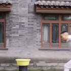 This Jump