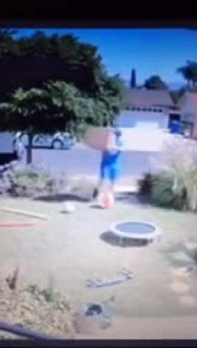 Ups man