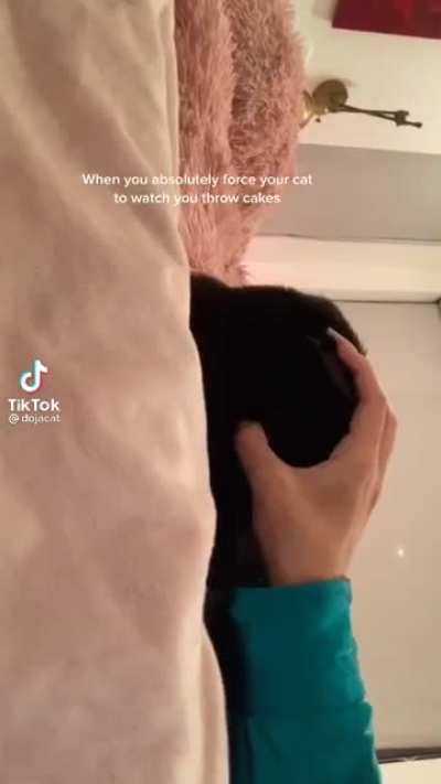 Doja Cat's cat