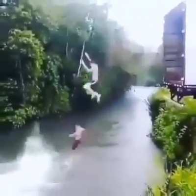 best diver