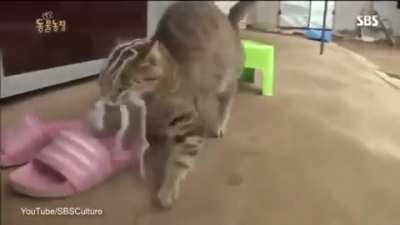 "Fuc*, get it off"