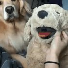 "Oh you think this is a game..."