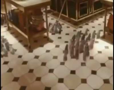 Ratatouille The British Version