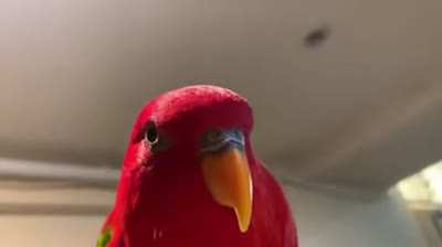 "Death stare intensifies"