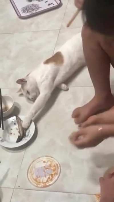 If I just pretend to be asleep...