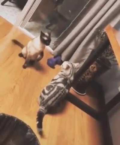 RKO OUTTA NOWHERE!