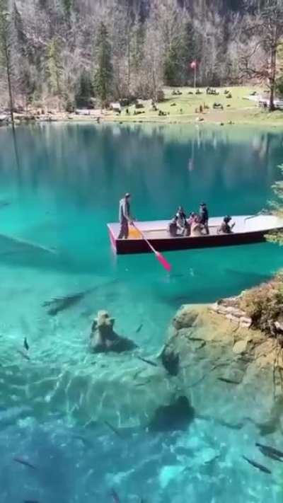 ? Boat ride around the beautiful Lake Blausee in Switzerland