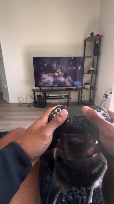 Bro gets new function