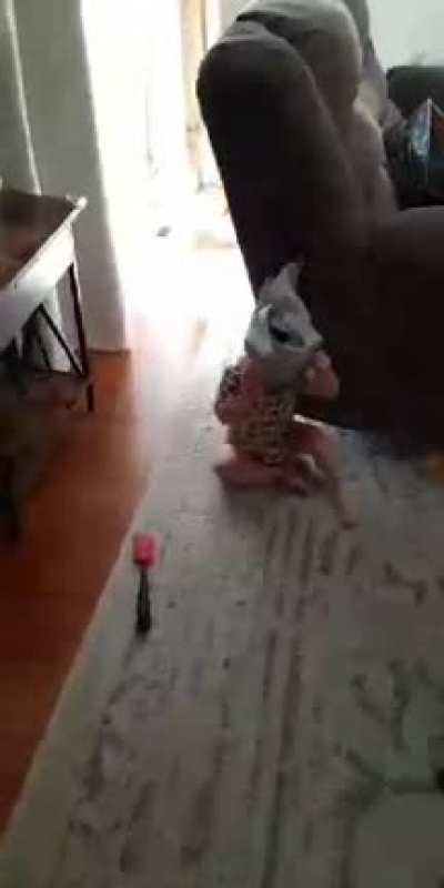 My nephew is in a phase where he puts everything on his head. It's going great