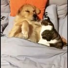 BFF’s