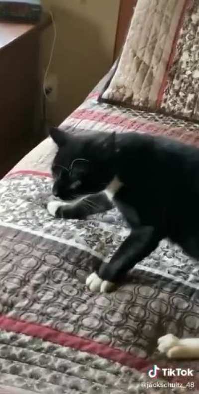 “AaaaAaâaaa”