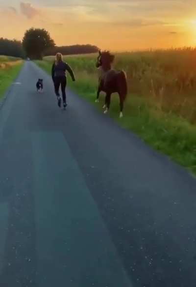 ? An evening stroll in the Netherlands with her best friends ?