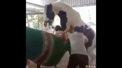 Wcgw walking a horse ?