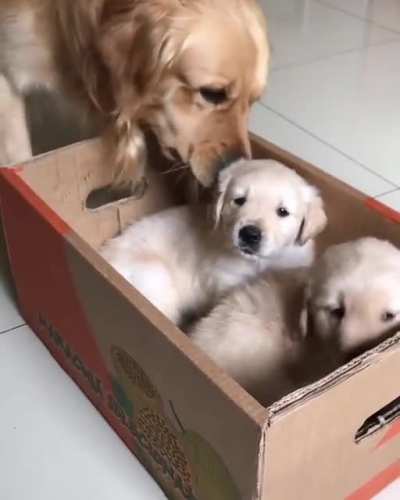 see to the end????