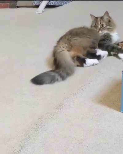 Blowing into a straw drives her crazy