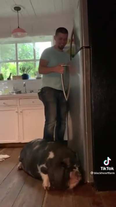I need a fridge that makes that sound when opened.