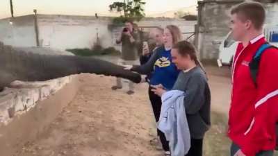 visit to the Zoo