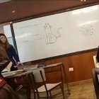 Okay. Who draw the cat ?