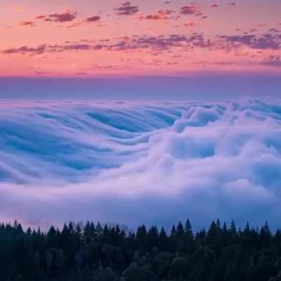 ? Time lapse of a cloud rift in Mount Tamalpais National Park ?