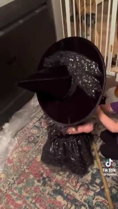 Parent: Are you a good witch or a bad witch? Baby: I’m a bad Bitch. I know that’s right ???