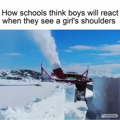 They are dumb