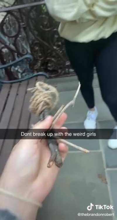 "witchcraft"