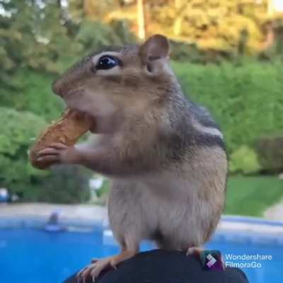 to hide those nuts