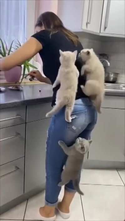 ??....