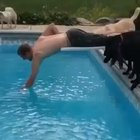 Doggo’s just trying to help