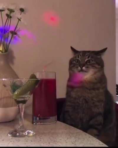 Me at the party with the people I don't know ?